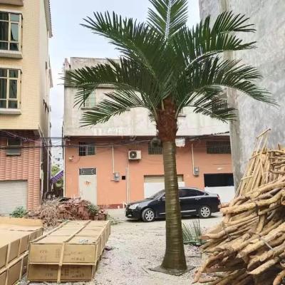 China Minimalist favorite artificial coconut palm trees for indoor or outdoor decoration for sale