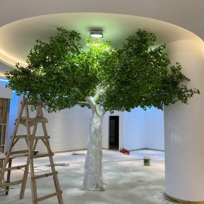 China Minimalist White Trunk Artificial Banyan Tree For Sale for sale