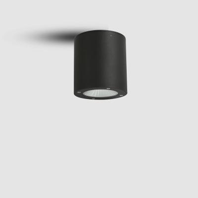 China Modern Indoor and Outdoor Light 100DX150H , 100DX200Hmm Die Casting Modern Outdoor Aluminum Mount LED Ceiling Light Outdoor Light for sale