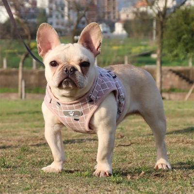 中国 Arnes De Perro Luxury Dog Leash And Sublimation DETACHED Harnesses With Fashion Pet Harness Reflective Lightweight Vest 販売のため