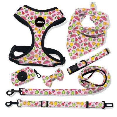 China Correa De Perro Custom Padded Step In Designers Fashion Luxury Dog Harness Vest Dog Collar And Leash Set Te koop