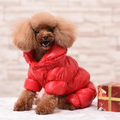 China Viable Luxury Designer Dog Clothes Ropa Para Perro Pet Apparel Wholesale Ropa Mascotas De Perro Dogs Large Te koop