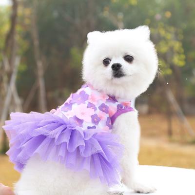 Cina Stocked Success Lacy Design Fashion Cute Dress by Ropa De Verano Perro Amazone for Small Dogs Heart Sublimation Dog Dress in vendita