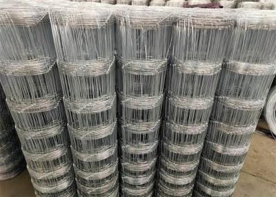 China Livestock Animal Hinge Joint Wire Mesh Hot Dipped Galvanized for sale