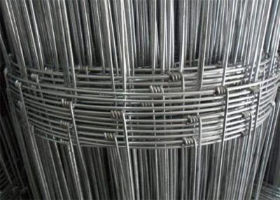 China Farm And Field Galvanized Hinge Joint Wire Mesh Livestock Cattle Metal Steel 15 Gauge for sale