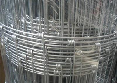 China 1.2m High Cattle Sheep Woven Wire Mesh Fence Galvanized Hinge Joint For Field Farm for sale