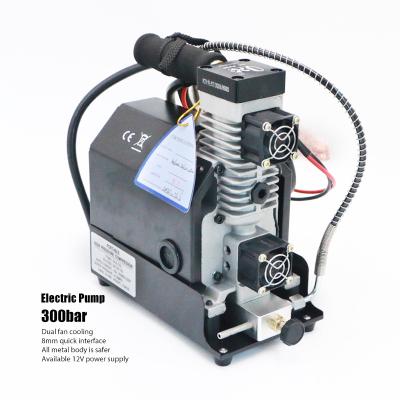 China Mini Electric low noise pcp pump 4500psi air compressor for 30mpa air tank for sale