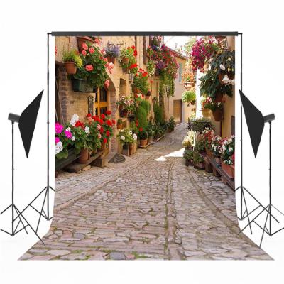 China Water Proof Street Scenery Photography Backdrop Stand Landscape Photo Booth Backdrop for sale