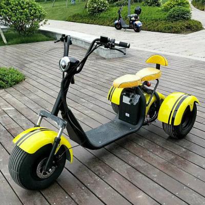 China Popular adults 2seats citycoco electric scooter for sale halei 9.5INCH for sale