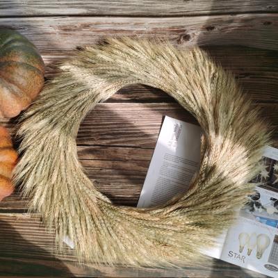 China Artificial Flower Farms Wheat Handmade Wreath Natural Dry Artificial Flower Grows Wheat Harvest Natural Dry Handmade Wreath Blonde Wreath for sale