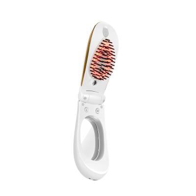 China Ms.W Wholesale Handheld Micro Steam Mist Rechargeable Electric Hair Comb For Hair Growth Comb Massager for sale