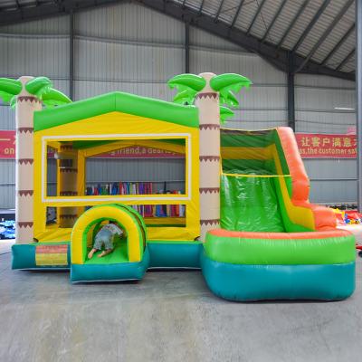 China Big Bounce House With Inflatable Slide Commercial Water Slide For Kids Giant Bounce House With Slide And White Pool Bounce House Slide for sale