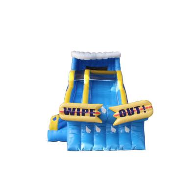 China Commercial Inflatable 2 Slide Bounce House Bounce House Water Slide Inflatable Bouncer With Slide for sale