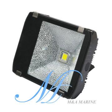 China 100W LED tunnel light, gas station light, exhibition lighting, parking lot lights for sale