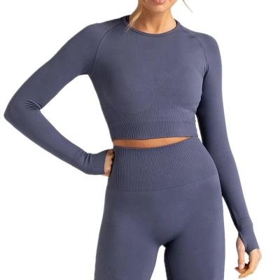 China Breathable Female Fitness Clothes Solid Color Women Compression Wear Suit Active Seamless Long Sleeve Crop Top Yoga Wear for sale