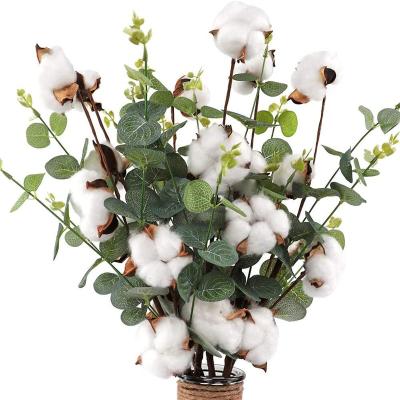 China Festival Decoration JULI 6pcs Artificial Eucalyptus Leaves With Cotton Flower Stems For Home Farmhouse Decoration for sale