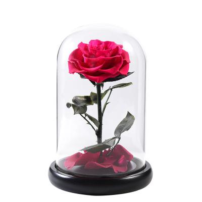 China Green Environmental Protection JULI DIY Forever Preserved Rose Head Decorative Real Eternal Rose Flower In Glass Dome for sale