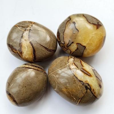 China China Natural Polished Tortoise Beetle Palms Stone Septarium Palm Massage Stones For Sale for sale