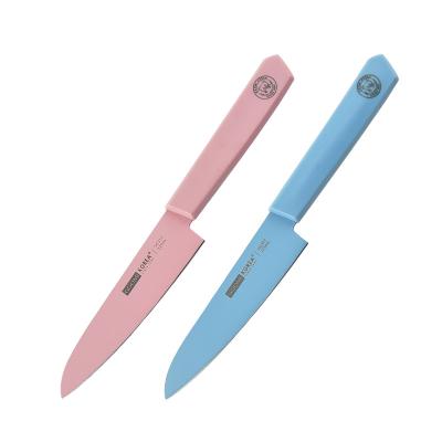 China Viable Multi-Purpose Craft Kitchen Spray Paint Knife Color Handle Stainless Steel Fruit Vegetable Knife for sale