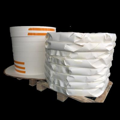 China paper cup bottom roll Eco Friend Stocked Biodegradable Bamboo Paper Single PE Coated 180gsm Paper Cup Bottom roll for sale