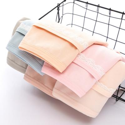 China New QUICK DRY Panties For Menstruation Lace Cotton Leakproof Period Briefs Pocket Breathable Menstrual Panties Set Hot Paste Underwear for sale