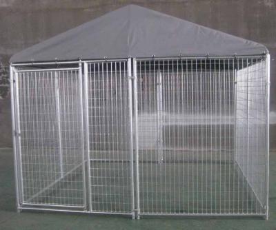 China Sustainable 3mx3mx1.84m indoor dog kennels for sale