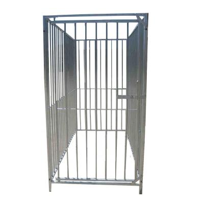 China Sustainable Hot dip galvanized 2m wide  large steel dog cage dog house dog kennel for sale