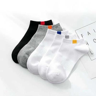 Cina Summer Cotton Man Short Socks Fashion Breathable Man Boat Socks Comfortable Casual Socks in vendita