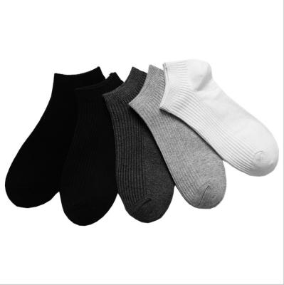 Chine Unisex Non Slip Low Cut Ankle Socks Spandex/Polyester/Cotton Classic Casual Hosiery à vendre