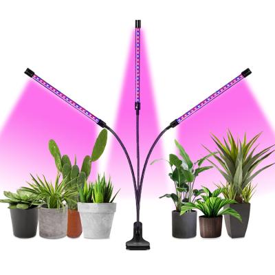 China Seed Seed Factory 2021 Hot Sale Three Strip Led Grow Light Indoor Outdoor Full Spectrum Dimmable Adjustable Led Grow Light for sale