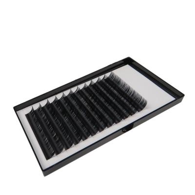 China Real Mink Hair Eyelash Extensions Individual Lashes B Curl 6-16 Mm Length for sale