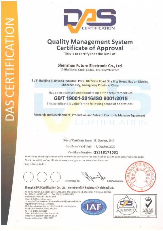 ISO9001 - Shenzhen Future Electronic Co., Ltd.