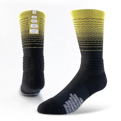 China OEM Sports Logo LOW MOQ Half Terry Seamless Basketball Socks OEM High Quality Custom Crew Sock QUICK DRY and Running Socks for sale