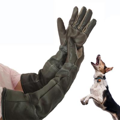 China Pet Sustainable Gloves Whip Leather Anti-grasping Anti Bite Protective Gloves for sale