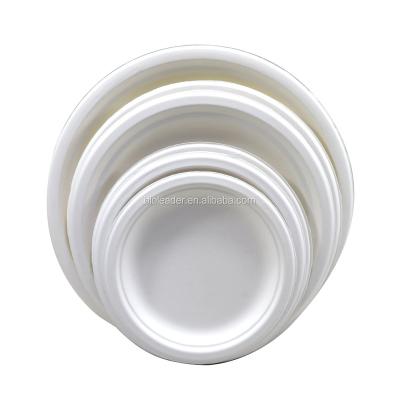 China Hot Selling Disposable Disposable Disposable Disposable Sugarcane Bagasse Paper Pulp Mold Dishes for sale