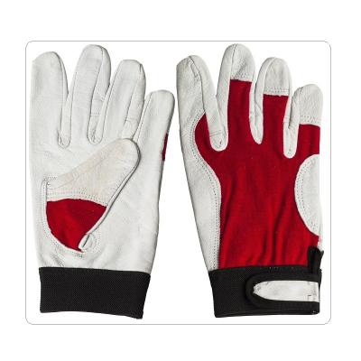 China Elastic Cotton Back Sheep Leather Gloves for sale