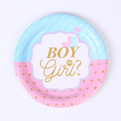 China Disposable Baby Shower Party Supplies Blue Pink Boy or Girl Decoration Dish Napkin Cup Set Cartoon Theme Tableware for sale