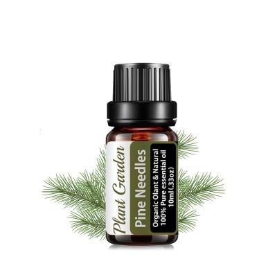 China Skin Revitalizer Undiluted pure pine needles essential oils natural for hair growth for sale