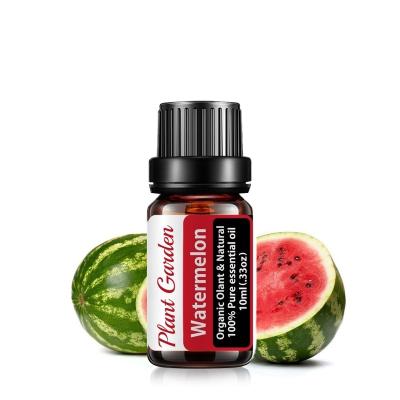 China Anti-Puffiness natural essential oil for candle making  pure watermelon 10ml essential oil for sale