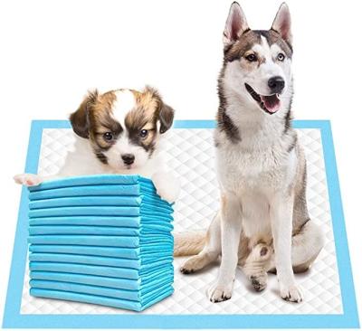 China Waterproof Bamboo Charcoal Potty Pet Training Pads, Super Absorbent and Waterproof Disposable Pad for Home-Alone and Pregnant Travel Dogs, for sale