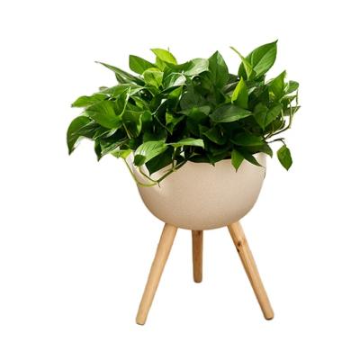 China New Easy Arrive Decorative Look Plastic Flower Pot With Round Wooden Stand Self Watering Planter White Pot For Green Trees Garden for sale