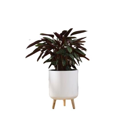 China Mid Century Style Modern Plant Pot Self Watering And Pipeline Indoor Outdoor Planter With Legs Stand for sale