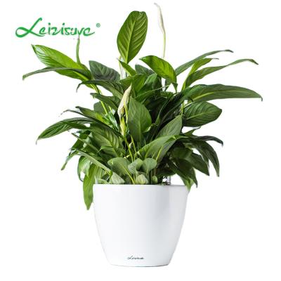 China Leizisure Modern Indoor Desktop Cone Around Mini Plastic Small Colored Flower Plant Pot And Planters for sale