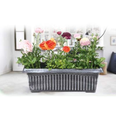 China Eco-friendly Leizisure Hydroponic Growing Systems Garden Rose Flower Decoration Paint Silver Flower Pot for sale