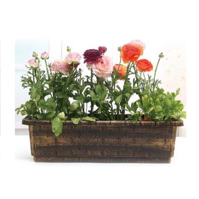 China Eco - Friendly Flower Decoration Paint Flower Pot Hydroponic Growing Systems for sale