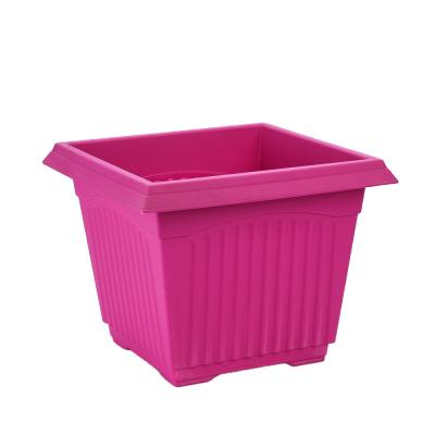 China Cheap Colorful Seedling Deep Square Planter Nursery Garden Pot Cartoon Plastic Flower Pot For Planting for sale