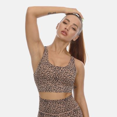 China New Arrival Breathable Manufacture Adjustable Underwear For Gym Exercise Breathable Bra Top Women Leopard Pattern Lady for sale