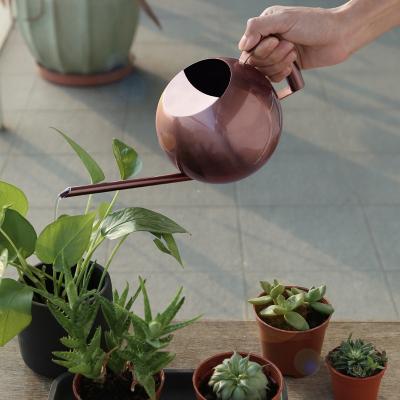 China Long Nozzle 1000ml Stainless Steel Metal Round Ball Garden Watering Can for sale