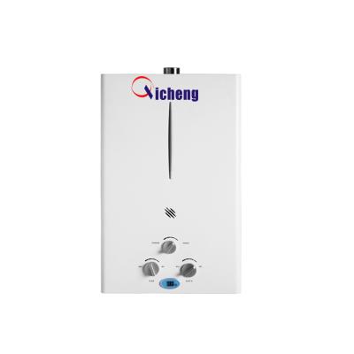 China Hotel Stainless Steel Panel Constant Temperature Gas Geyser Water Heater for sale