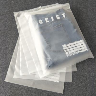 China BIODEGRADABLE Custom Garment Ziplock Bag Plastic EVA Zipper Packing Bag Frosted Plastic Pouches For Apparels for sale